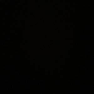 Meet your Posher, Stevie